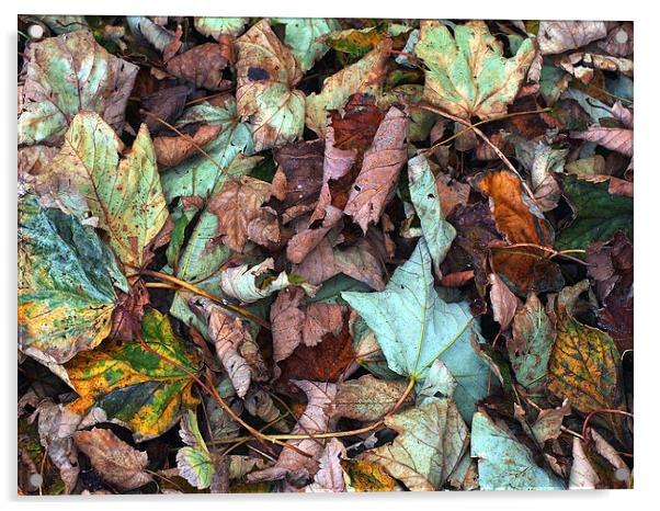 Fallen Leaves Acrylic by Victor Burnside
