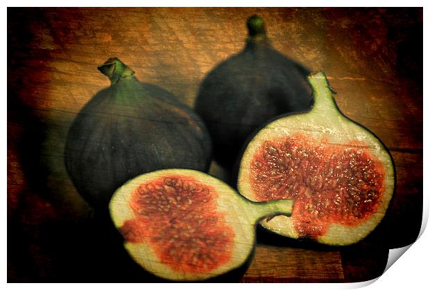 Three Figs Print by Steve Purnell