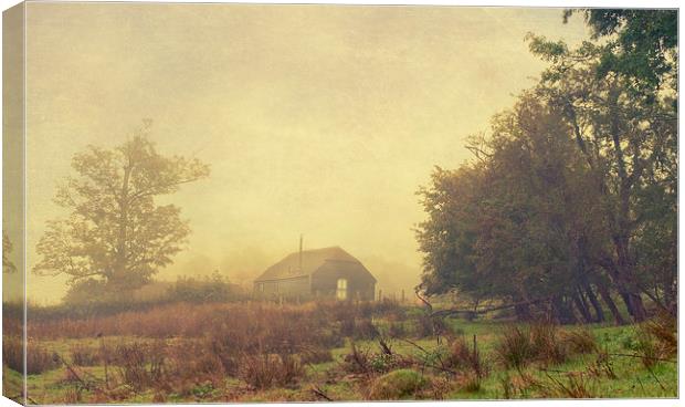 In the Heart of the Country Canvas Print by Dawn Cox