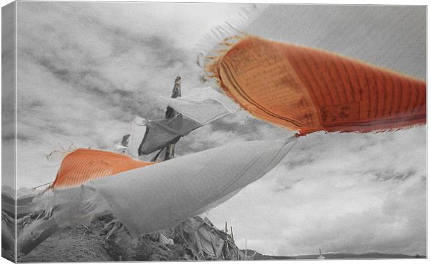 Prayerflags in the wind Canvas Print by ira de reuver