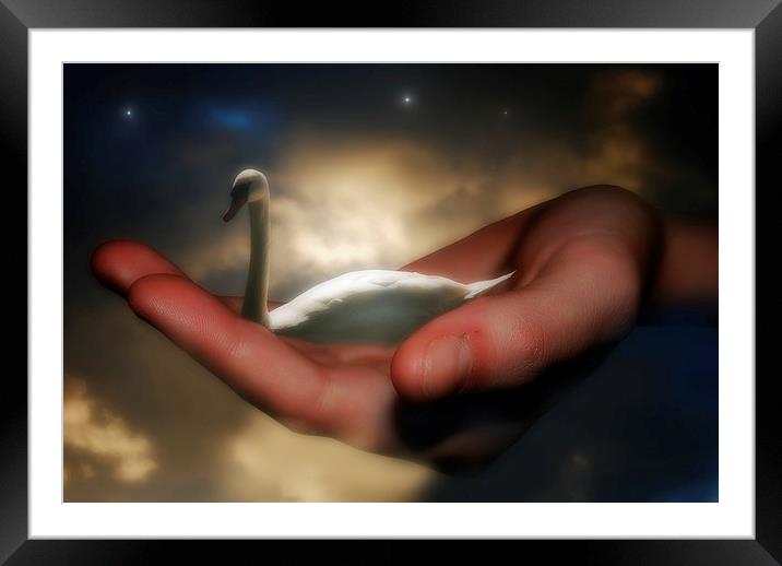 Night Swan Framed Mounted Print by Christine Lake