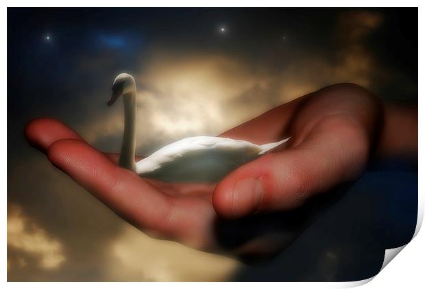 Night Swan Print by Christine Lake