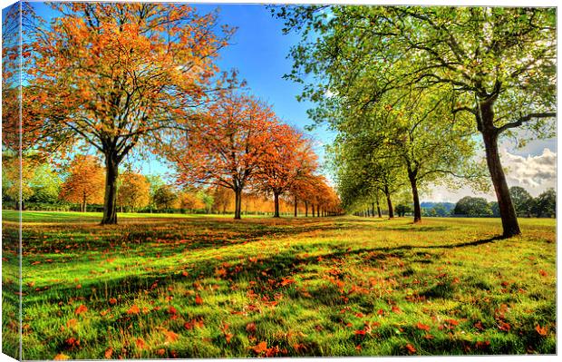 Windsor Autumn Trees Canvas Print by Simon West