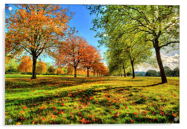 Windsor Autumn Trees Acrylic by Simon West