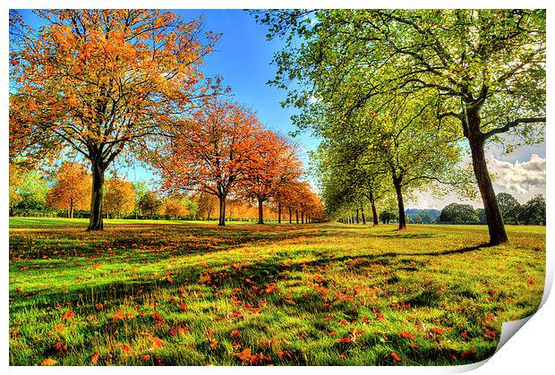 Windsor Autumn Trees Print by Simon West