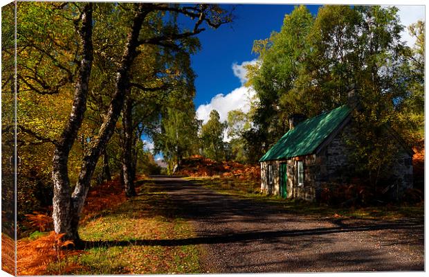 Autumn in Strathfarrar Canvas Print by Macrae Images