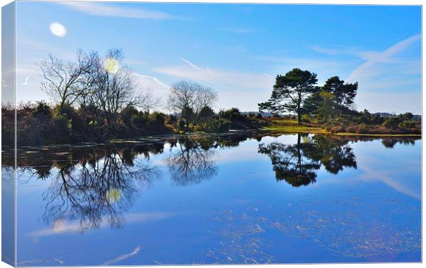 New Forest reflection Canvas Print by Alan Sutton