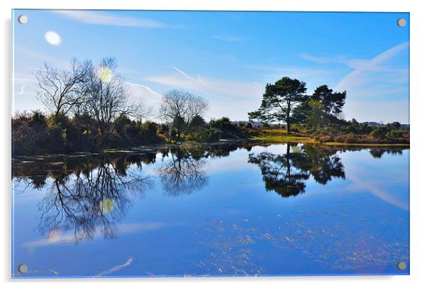 New Forest reflection Acrylic by Alan Sutton
