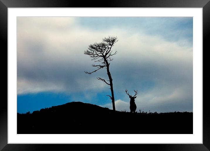 Highland silhouettes Framed Mounted Print by Macrae Images