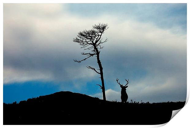 Highland silhouettes Print by Macrae Images