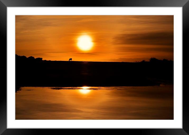 Solitude Framed Mounted Print by Alan Sutton