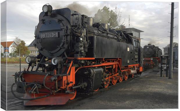 JST2596 Germanys 100mm gauge railway Canvas Print by Jim Tampin