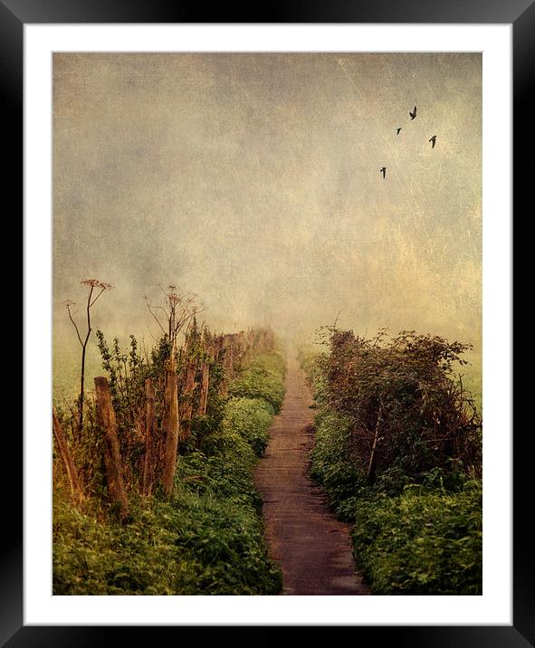 All the way to the end Framed Mounted Print by Dawn Cox