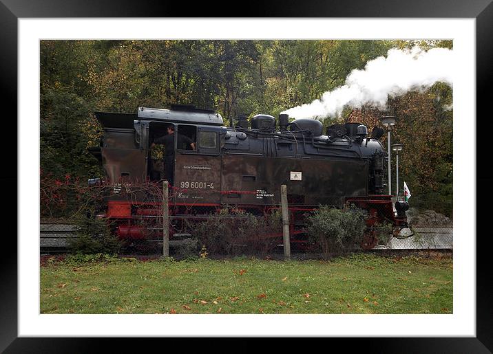 JST2607 Selketal Railway Framed Mounted Print by Jim Tampin