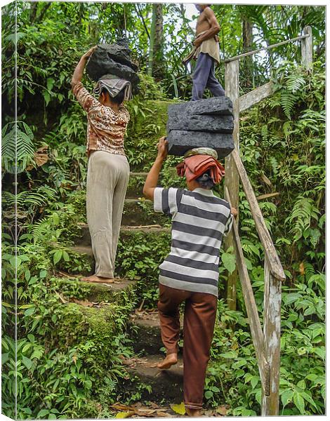 Hard labour in Bali, Indonesia? Canvas Print by colin chalkley