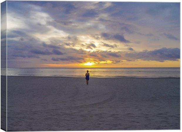Contemplation at sunset in Borneo Canvas Print by colin chalkley