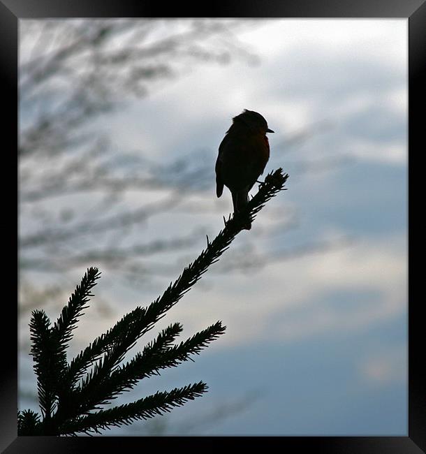 AWAITING SUNRISE Framed Print by Mal Taylor Photography