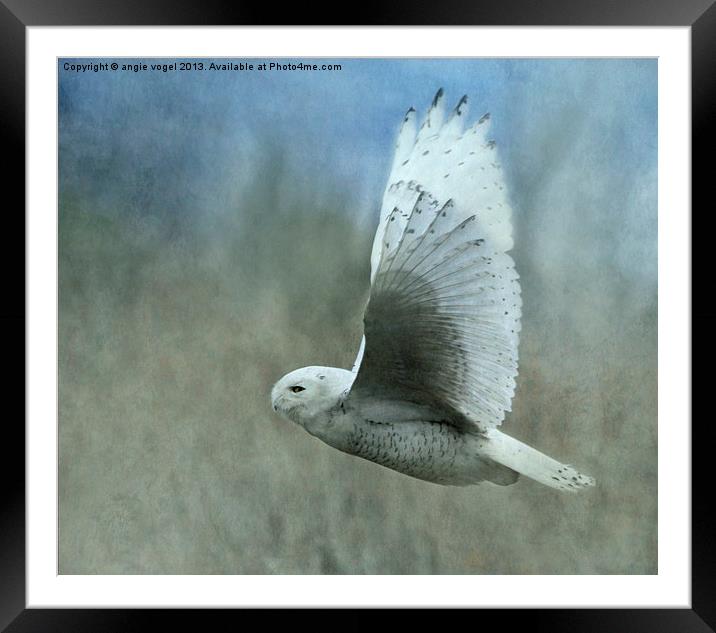 Snowy Flight Framed Mounted Print by angie vogel
