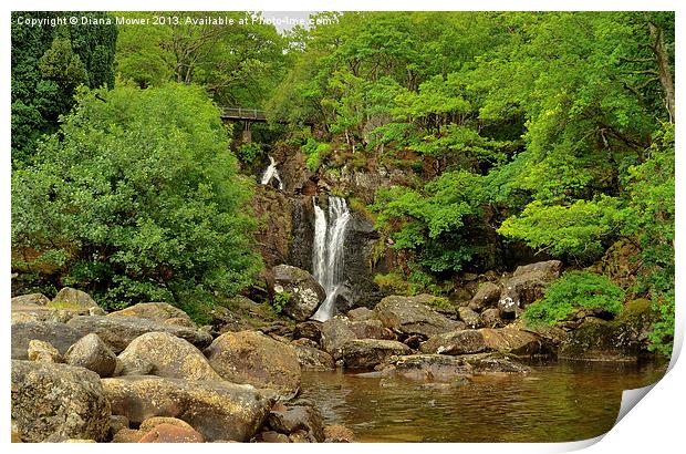 Inversnaid Waterfall Loch Lomond Scotaland  Print by Diana Mower