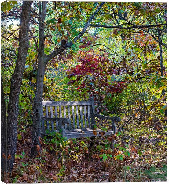 Arboretum bench Canvas Print by Steven Ralser