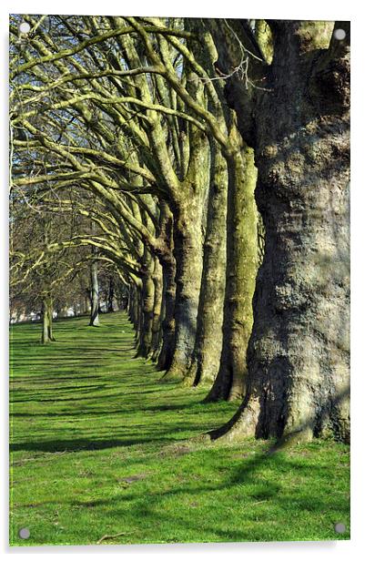 Symmetrical trees Acrylic by Maria Carter