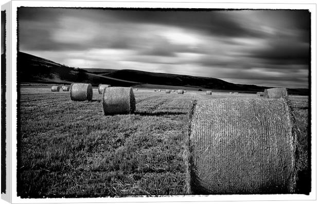 straw bales by the sea Canvas Print by Andrew chittock