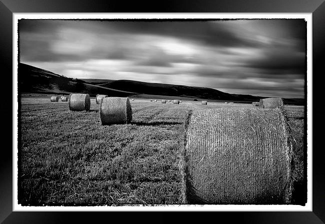 straw bales by the sea Framed Print by Andrew chittock