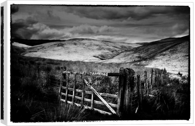 Old Gate leading to the hills Wales Canvas Print by Andrew chittock