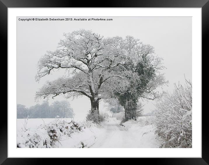 Oak Trees in Winter Snow Framed Mounted Print by Elizabeth Debenham