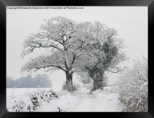 Oak Trees in Winter Snow Framed Print by Elizabeth Debenham