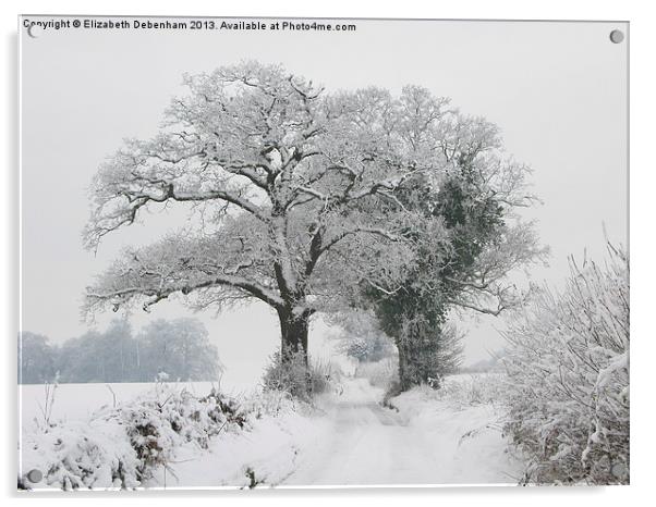 Oak Trees in Winter Snow Acrylic by Elizabeth Debenham