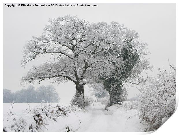 Oak Trees in Winter Snow Print by Elizabeth Debenham