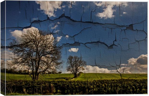 Cracked Canvas Print by richard downes