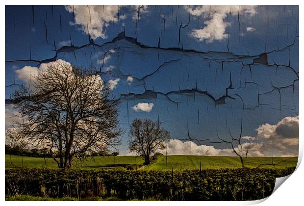 Cracked Print by richard downes