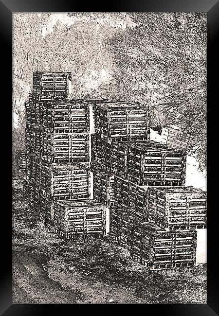 Fishing Net Crates Framed Print by Thomas Grob