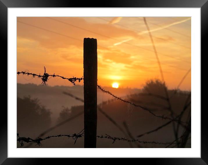Early morning sunrise and Mist Framed Mounted Print by Colin Richards