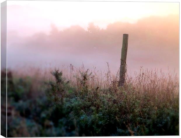 Early misty Autumn Morning, Stone, Dartford Canvas Print by Colin Richards