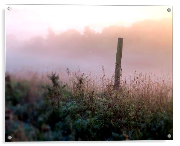 Early misty Autumn Morning, Stone, Dartford Acrylic by Colin Richards