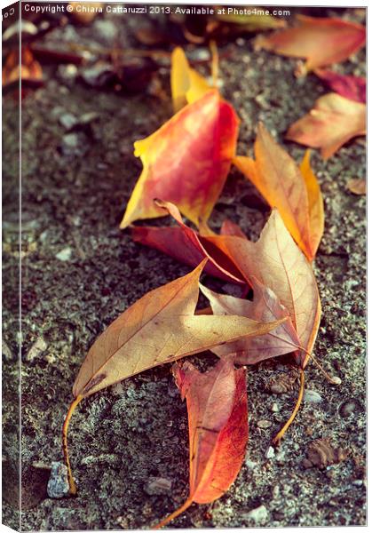 Fallen autumn Canvas Print by Chiara Cattaruzzi