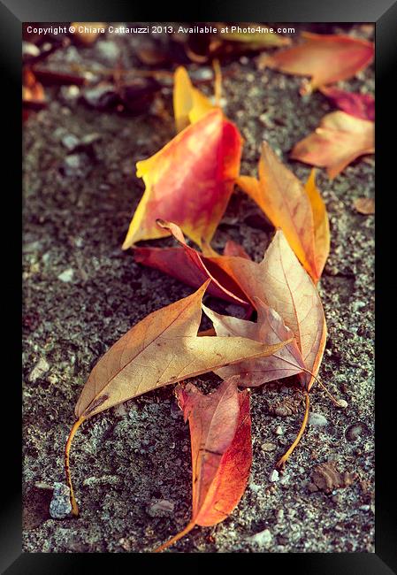 Fallen autumn Framed Print by Chiara Cattaruzzi