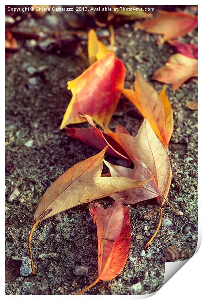 Fallen autumn Print by Chiara Cattaruzzi