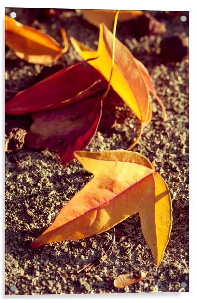 Fallen leaves Acrylic by Chiara Cattaruzzi