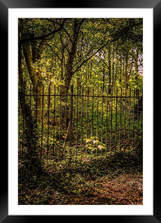 On The Otherside of the Fence Framed Mounted Print by Dawn O'Connor