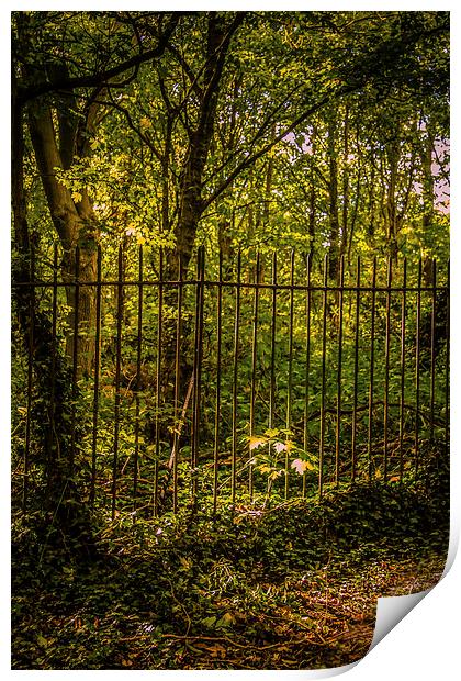On The Otherside of the Fence Print by Dawn O'Connor