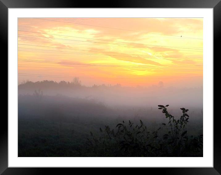 Misty Sunrise Solitude Framed Mounted Print by Colin Richards