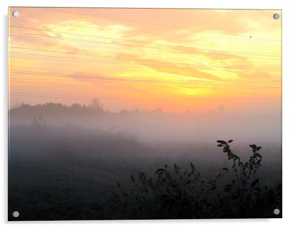Misty Sunrise Solitude Acrylic by Colin Richards