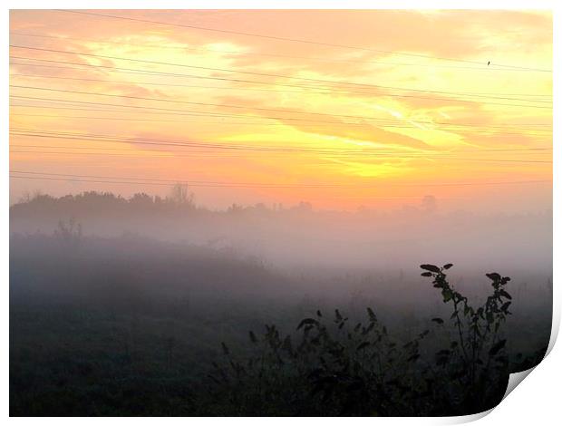 Misty Sunrise Solitude Print by Colin Richards