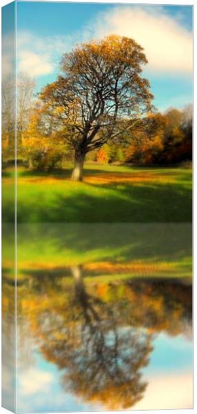 lone tree fall Canvas Print by dale rys (LP)