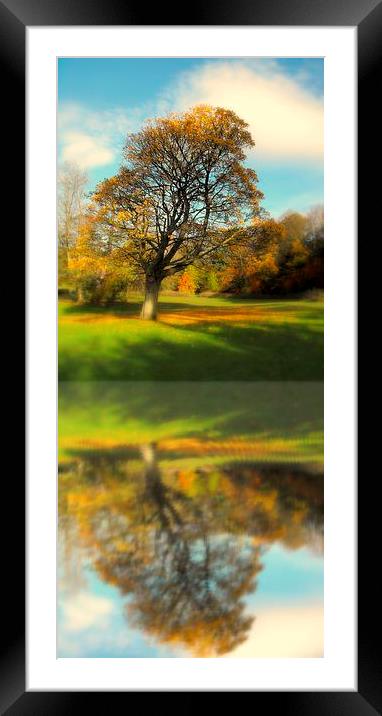 lone tree fall Framed Mounted Print by dale rys (LP)