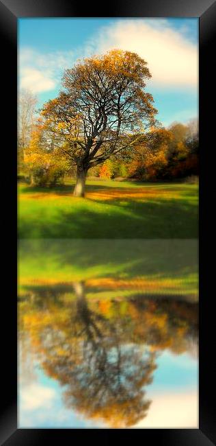lone tree fall Framed Print by dale rys (LP)